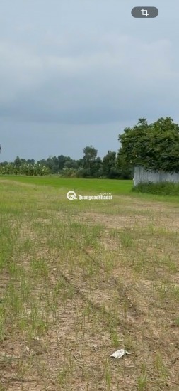 CHO THUÊ 5000M2 MẶT TIỀN QL50 LÀM BÃI XE NHÀ XƯỞNG KHO LẠNH 0901651234.