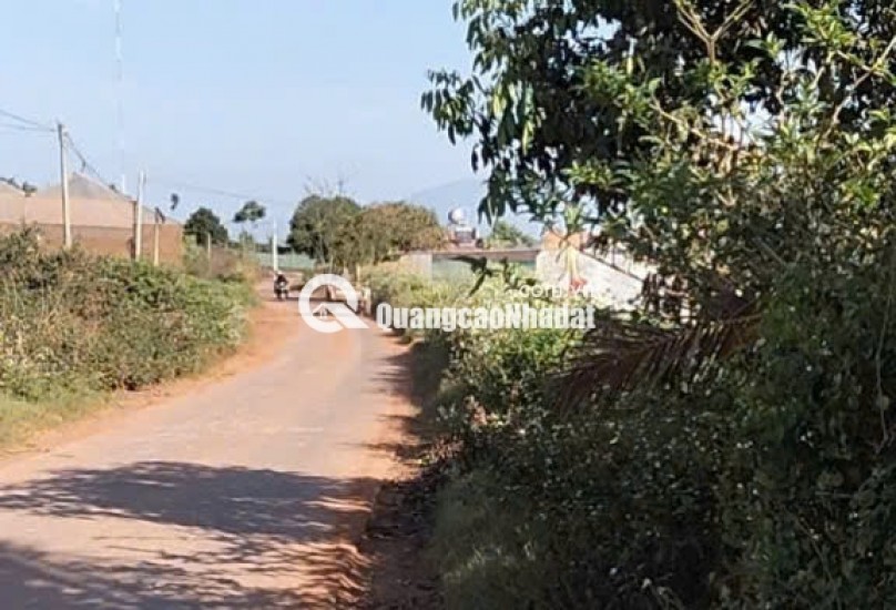 Chính chủ bán 13.000m² đất Tu Tra – Đơn Dương, vị trí đẹp, 2 mặt đường bê tông