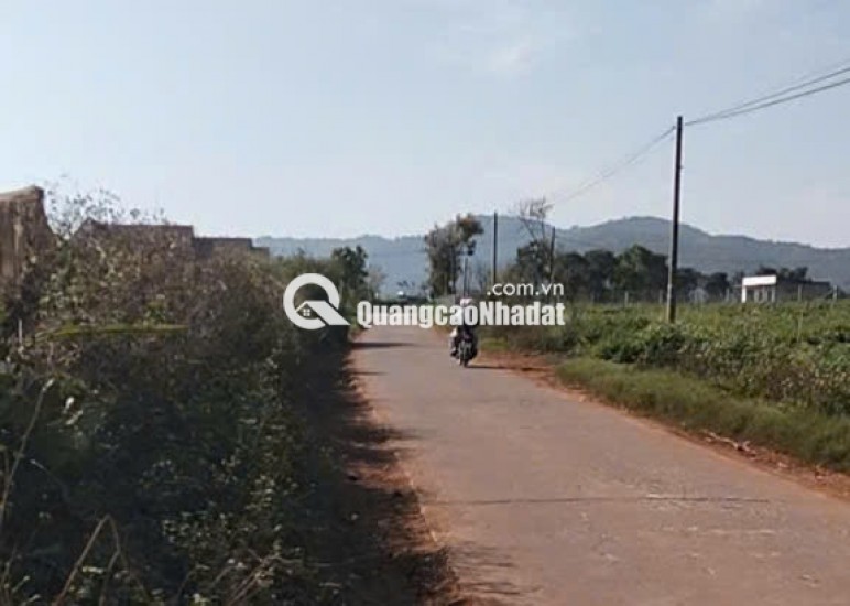 Chính chủ bán 13.000m² đất Tu Tra – Đơn Dương, vị trí đẹp, 2 mặt đường bê tông