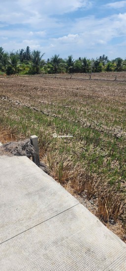 Bán lô đất thổ đường bê tông 4m giá 430 triệu