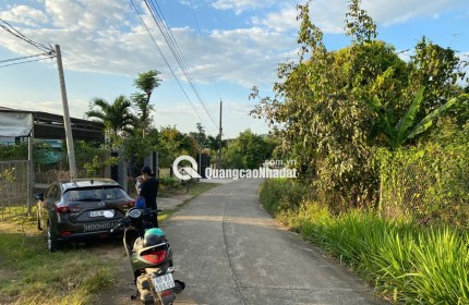 BÁN ĐẤT VƯỜN 1.003M TÀ LÀI, ĐỒNG NAI  CHỈ 750 TRIỆU