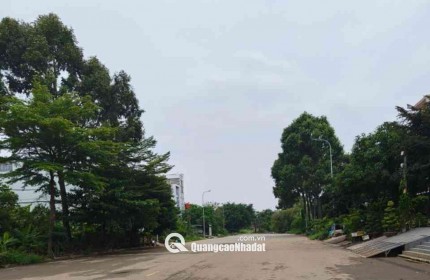 Bán đất nền vị trí đắc địa - Bình Hưng TP.Hồ Chí Minh